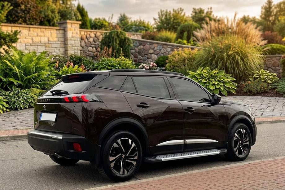 Peugeot 3008 2016–2023 Side steps New Vision Grey (2 stuks, aluminium) Image