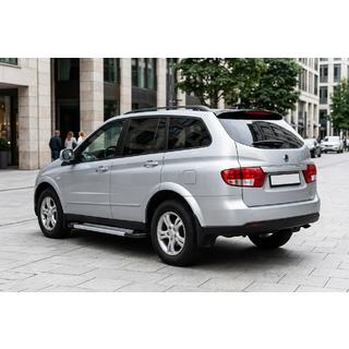 Side steps New Vision Grey (2 st., aluminium) foto 1