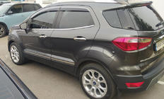 Ford EcoSport 2013–2022 Deurstrips (set van 4, RVS) foto 3