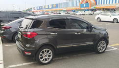 Ford EcoSport 2013–2022 Deurstrips (set van 4, RVS) foto 1
