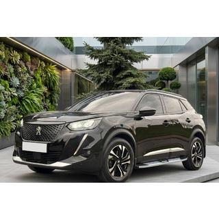 Mevsim Grey side steps (2 stuks, aluminium) Peugeot 3008 2016–2023 foto 1