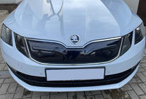 Skoda Octavia III A7 2013–2019 Wintergrille (2017-2020) foto 1