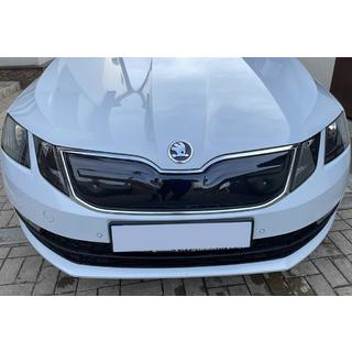 Wintergrille (2017-2020)