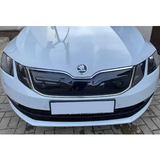 Wintergrille (2017-2020)