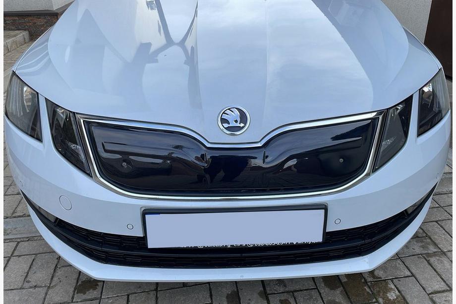 Skoda Octavia III A7 2013–2019 Wintergrille (2017-2020) Image