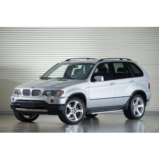Side steps Tayga Grey (2 stuks, aluminium) BMW X5 E53 1999–2006 foto 1