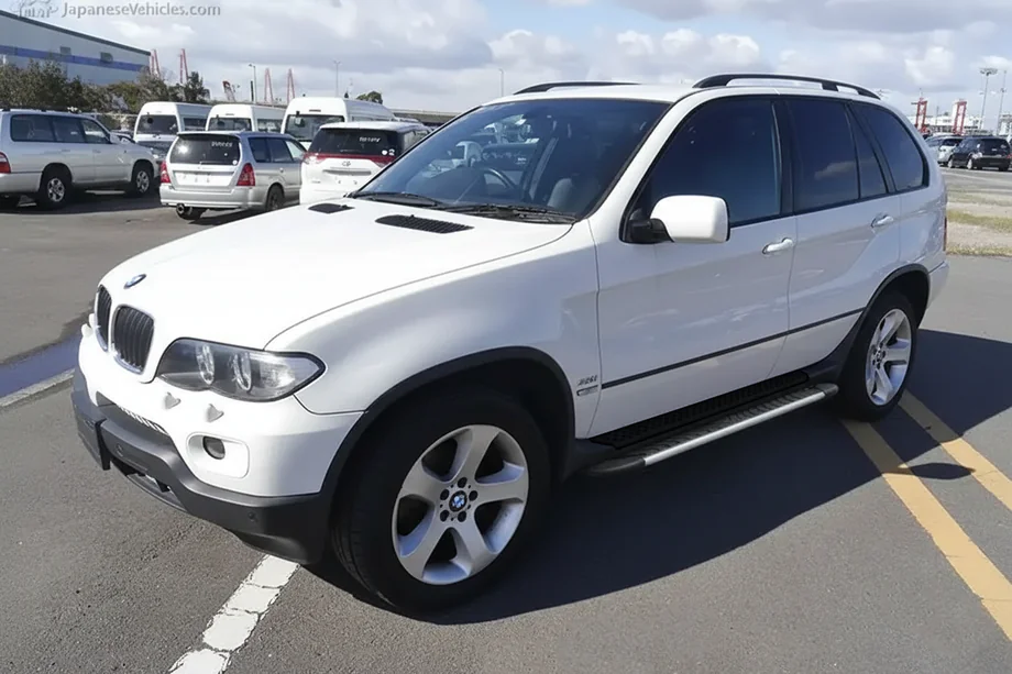 BMW X5 E53 1999–2006 Side steps Bosphorus Grey (2 stuks, aluminium) Image
