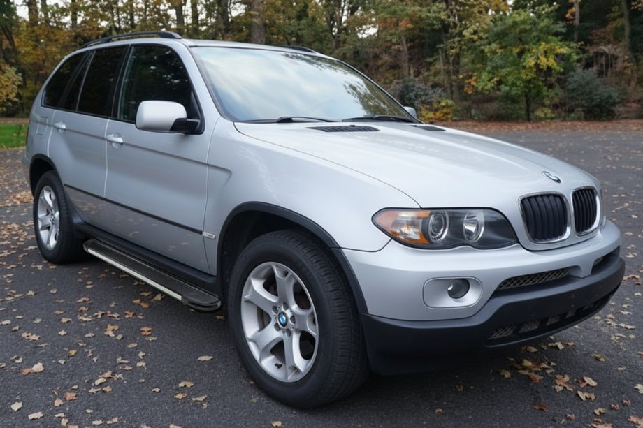 BMW X5 E53 1999–2006 Zijtreden Maya V1 (2 st., aluminium) Image