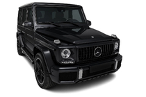 Mercedes G-klasse W463 1990–2018 Voorgrille (GT Panamericana, zonder chroom) foto 4