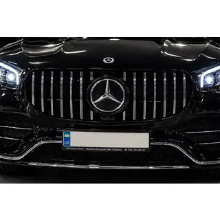Voorgrille 2019-2023 (GT Panamericana) foto 3