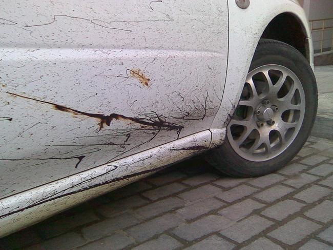 Zo verwijder je bitumen van je auto