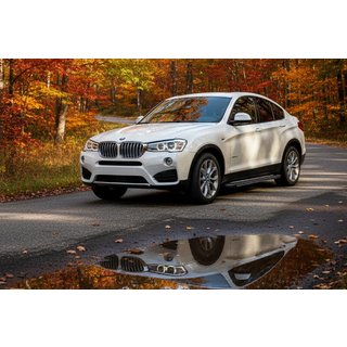 Bosphore Grey zijtreden (set van 2, aluminium) BMW X4 F26 2014–2018 foto 1