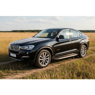 Duru side steps (2 stuks, aluminium) BMW X4 F26 2014–2018 foto 1