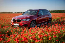 BMW X5 F15 2013–2018 Side steps Maya Red (2 stuks, aluminium) foto 1