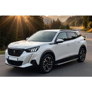 BlackLine side steps (2 stuks, aluminium) Peugeot 2008 2019– foto 1