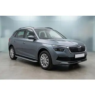 Side steps Tayga Grey (2 stuks, aluminium) foto 1