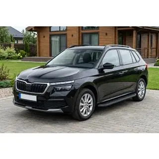 Tayga Black zijtreden (set van 2, aluminium) foto 1
