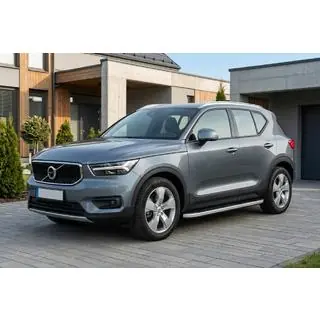 Side steps Tayga Grey (2 stuks, aluminium) foto 1