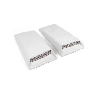 Dak-inserts met LED (2 stuks, spuitklaar) foto 1