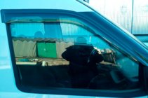 Opel Combo 2012–2018 Raamwindschermen (2 st., HIC) foto 12