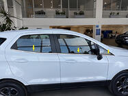 Ford EcoSport 2013–2022 Ruitomlijsting (6 st., RVS) foto 1
