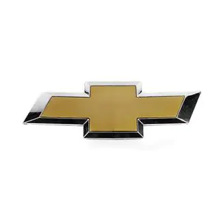 Embleem voorzijde (235 x 83 mm) foto 2