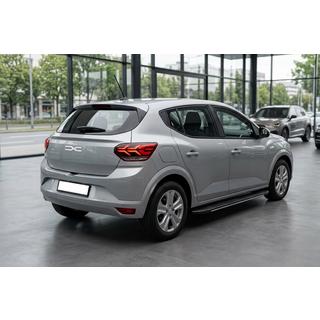 Side steps Bosphorus Grey (set van 2, aluminium) Dacia Sandero 2021– foto 1