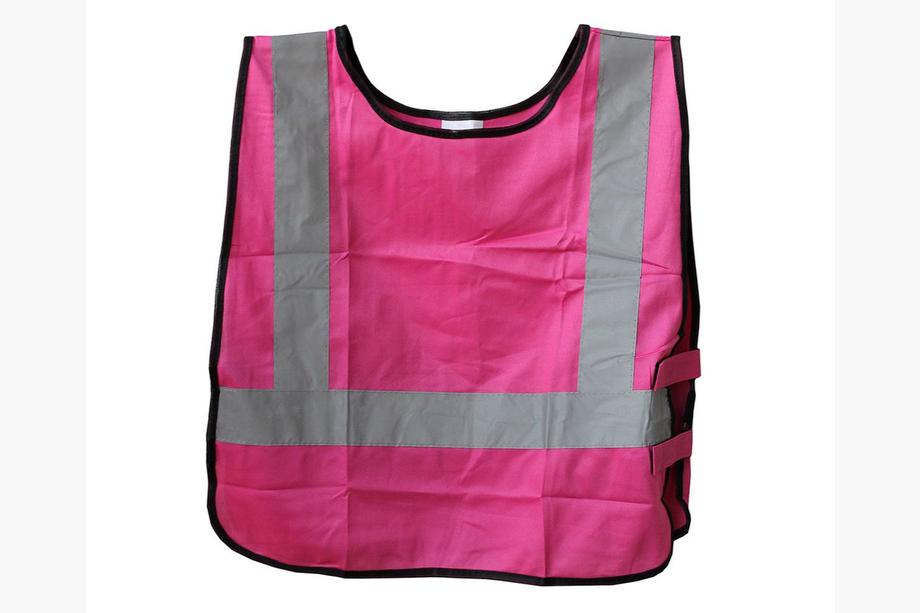 Veiligheidsvest maat M roze WVK-04 PROSWISSCAR Image