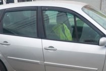 Renault Scenic/Grand 2003–2009 Raamdeflectoren (4 stuks, HIC) foto 1