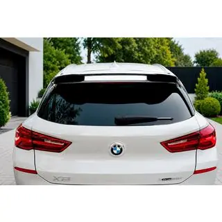 LIP spoiler (1234 Upgrade, zwart)
