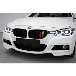 Nierroosters M-Look (German Color) BMW 3 Serie F30/F31 2012–2019 foto 1