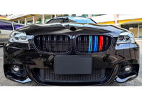 BMW 5 Serie F10/F11 2010–2016 M-Look nierengrilles (M-Color) foto 3
